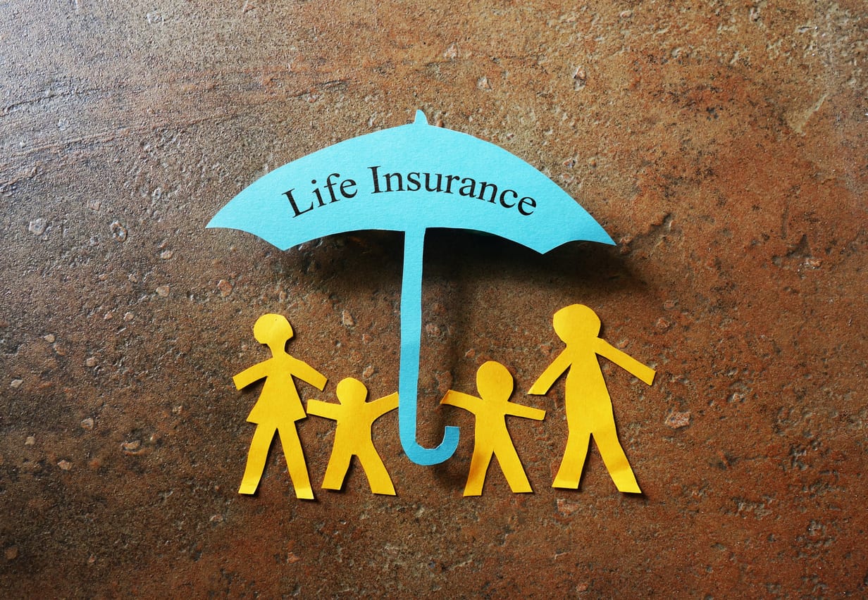 Life Insurance paper family Life Insurance paper family - GFPG